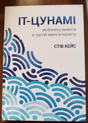 Іт-цунамі як бізнесу вижити в третій хвилі інтернету стів кейс1 фото