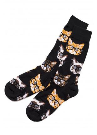 Шкарпетки котики в окулярах (р. 36-43)