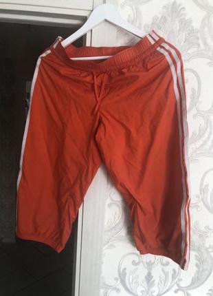 Шорты  adidas