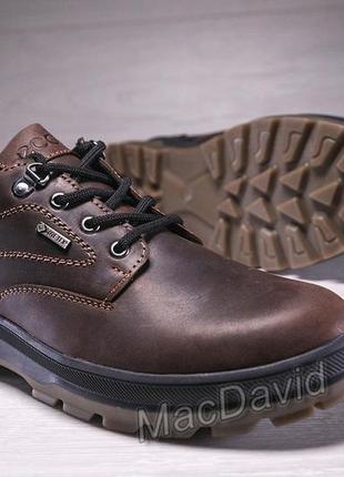 Спортивные кожаные туфли ecco track waterproof brown