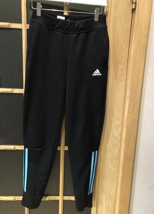 #141 штани спортивні