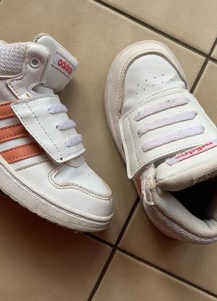 Кроссовки adidas 26р стелька 16,5см1 фото