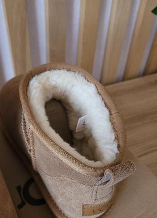 Продам нові ugg ultra mini2 фото