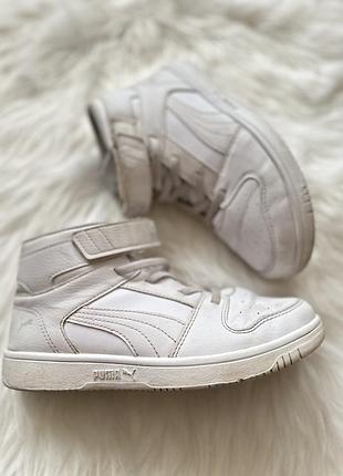 Хайтопы puma p 34,5
