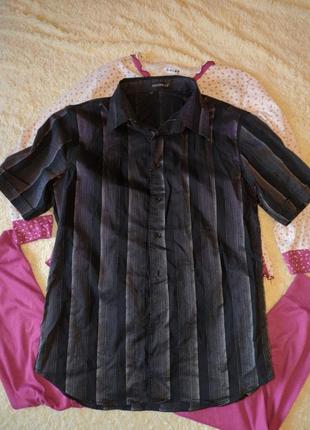 Чорна смугаста сорочка з коротким рукавом semco4 фото