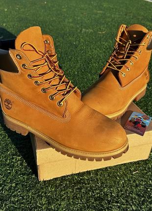 Чоловічі черевики timberland 6 premium caterpillar dickies bogner