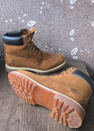 Черевики timberland premium 6 inch3 фото