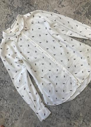 Женская рубашка белая