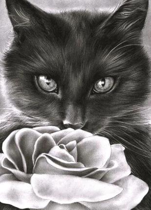 Набір алмазної мозаїки вишивки "чорний кіт", кішка, райдужний чорний повна викладка 5d набори 30х40 см1 фото