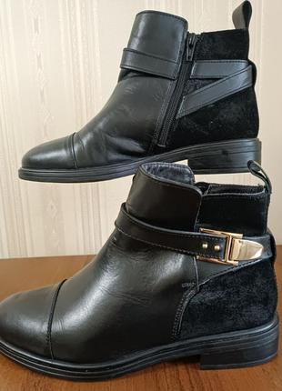 Кожаные ботинки esmara 38, размер3 фото