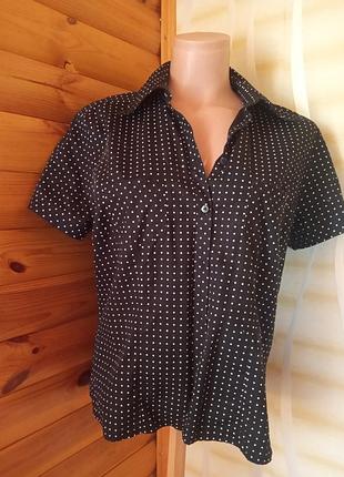 Сорочка, бавовна