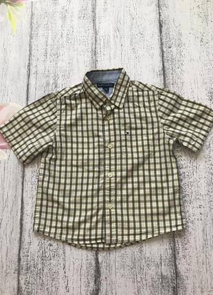 Крута сорочка теніска футболка в клітку tommy hilfiger 3роки