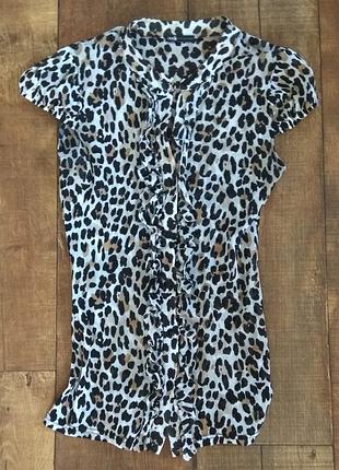 Стильная рубашка леопардовая женская xxs-xs-s эластичная