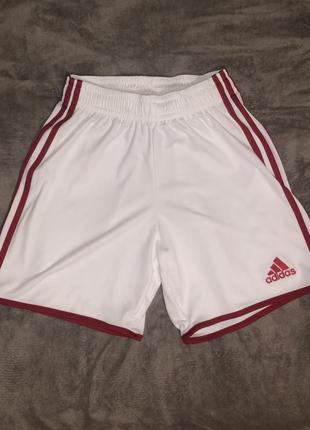 Новые шорты adidas, s