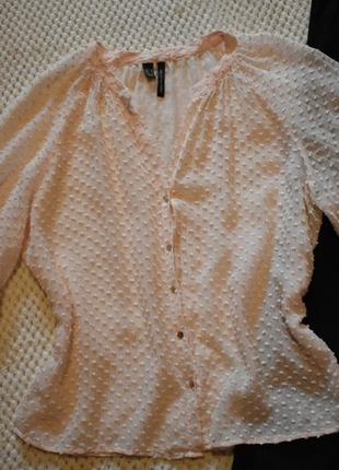 Нежная блузка mango8 фото