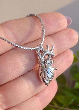 Кулон підвіска анатомічне серце колір срібло на срібному шнурку1 фото