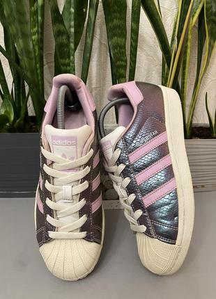 Adidas superstar классические кроссовки4 фото