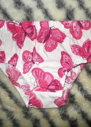 Трусики під памперс в метеликах
