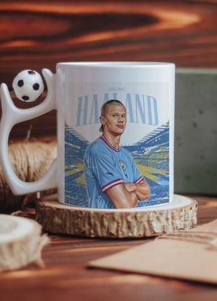 Чашка холанд