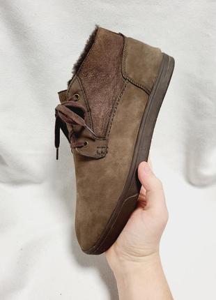 Туфли кроссовки ugg1 фото