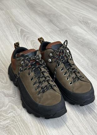 Timberland treeline low leather hiker