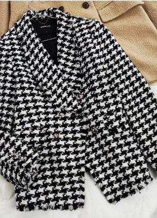 Твідовий піджак в гусячу лапку zebra