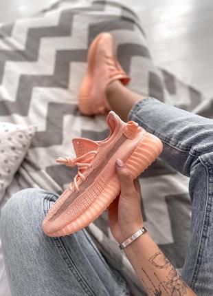 Шикарні кросівки адідас