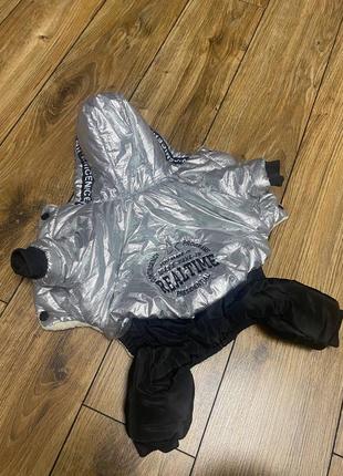 Комбінезон для собаки чіхуахуа, йорк