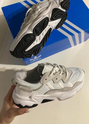 Кроссовки adidas ozweego5 фото