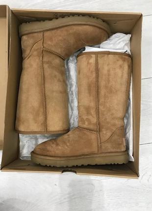 Зимние сапоги из коллекции ugg