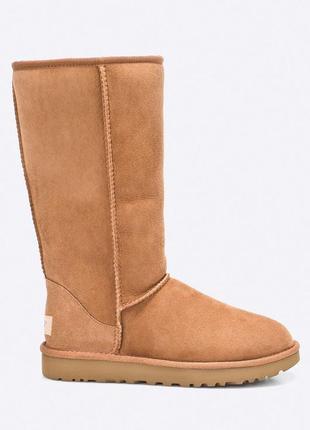 Зимние сапоги из коллекции ugg2 фото