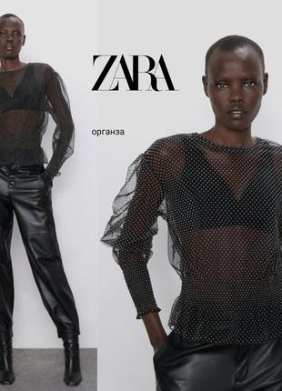 Zara топ блуза в гороховый принт