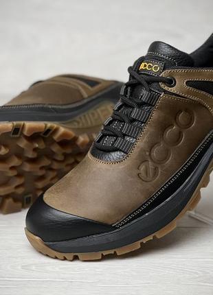 Кроссовки мужские кожаные ecco trekking force olive4 фото