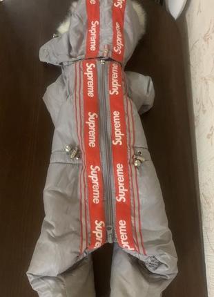 Зимний комбинезон