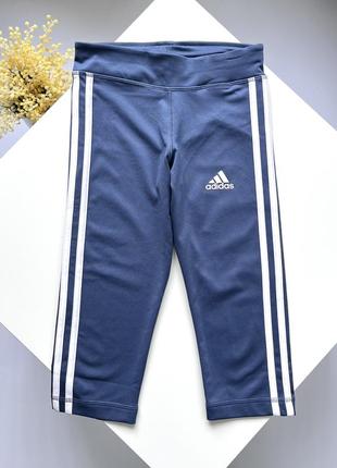 Велосипедки adidas1 фото