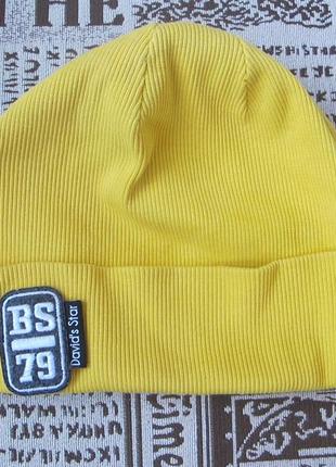 Шапка осенняя трикотажная детская 54 размера