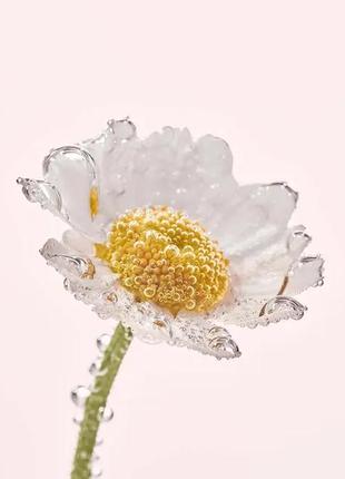 Мицеллярная вода - демакияж с ромашкой для чувствительной кожи ив роше, yves rocher