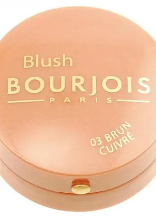 Рум'яна для обличчя bourjois pastel jous №03 brun cuivre1 фото