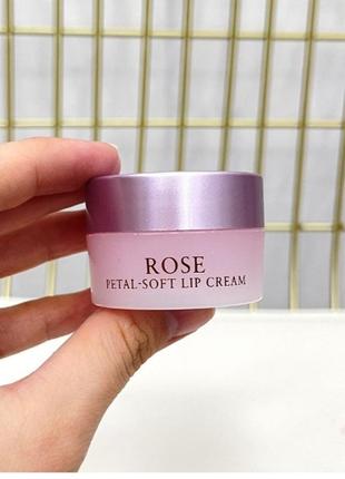 Увлажняющий бальзам для губ с маслом цветков розы дамасской fresh rose petal-soft lip cream 10гр3 фото