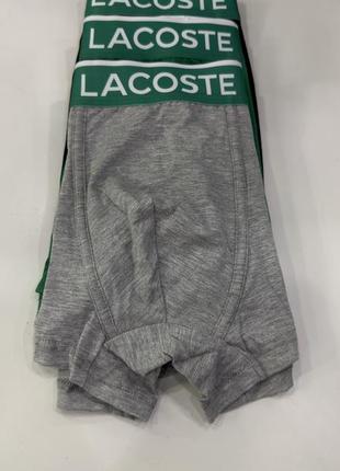 Трусы lacoste2 фото