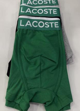 Труси lacoste4 фото