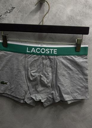 Трусы lacoste8 фото