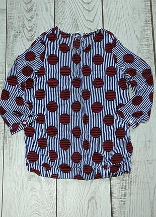 Кофточка, блуза, блузка, рубашка