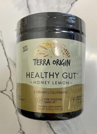 Terra origin, добавка для здоровья кишечника, с медом и лимоном, 232 г healthy gut1 фото