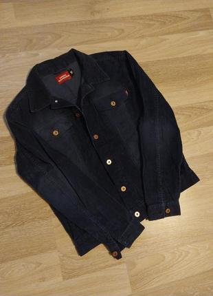 Вільветова вітровка smog rockers