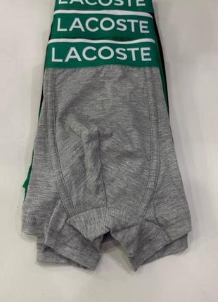 Трусы lacoste5 фото