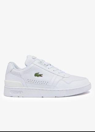 Оригинальные кроссовки lacoste «court cage»