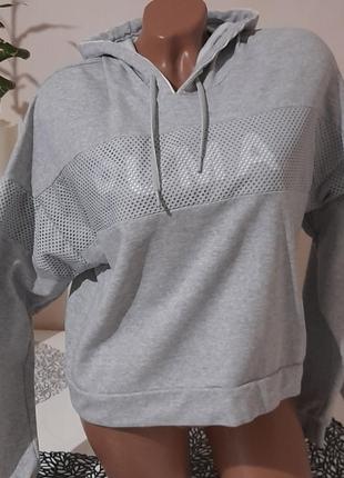 Puma 2