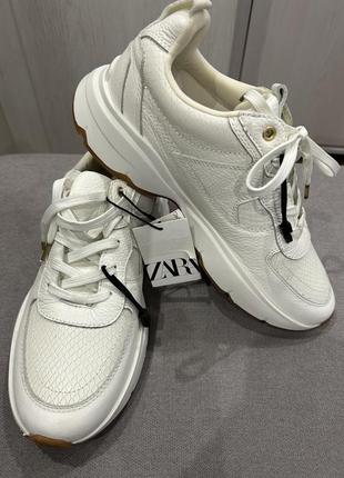 Кросівки zara