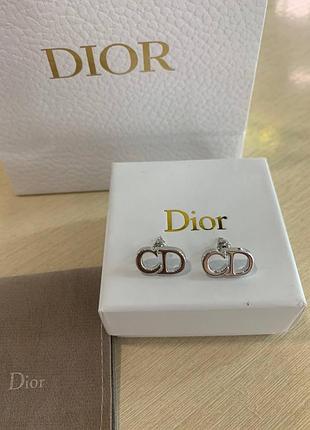 Брендовые серьги 2
